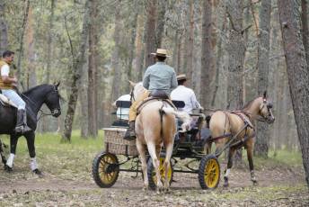 Fotogalería Romería Feria de Abril en Valsaín 14 Fotografía: Miguel Angel Fernández