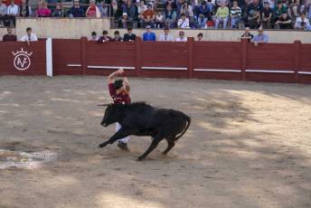 Fotogalería Festival Taurino Feria de Abril en Valsaín 25 Fotografía: Miguel Angel Fernández