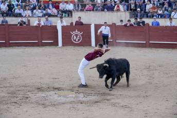Fotogalería Festival Taurino Feria de Abril en Valsaín 31 Fotografía: Miguel Angel Fernández