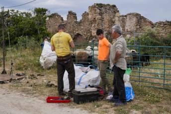 Fotogalería II Feria del Esquileo en Trescasas 35 Fotografía: Miguel Angel Fernández