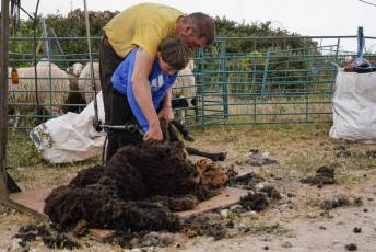 Fotogalería II Feria del Esquileo en Trescasas 11 Fotografía: Miguel Angel Fernández