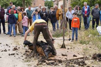 Fotogalería II Feria del Esquileo en Trescasas 6 Fotografía: Miguel Angel Fernández