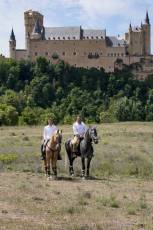 Fotogalería Fiesta Andaluza San Lorenzo 11 Fotografía: Miguel Angel Fernández