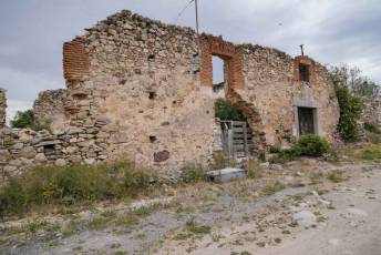 Fotogalería II Feria del Esquileo en Trescasas 7 Fotografía: Miguel Angel Fernández