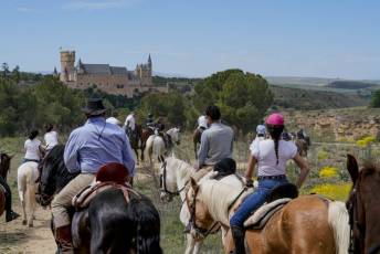 Fotogalería Fiesta Andaluza San Lorenzo 21 Fotografía: Miguel Angel Fernández
