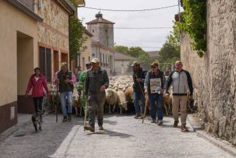 Fotogalería Fiesta de la Trashumancia en Aguilafuente 36 Fotografía: Miguel Angel Fernández