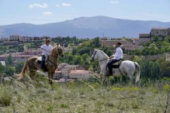 Fotogalería Fiesta Andaluza San Lorenzo 28 Fotografía: Miguel Angel Fernández