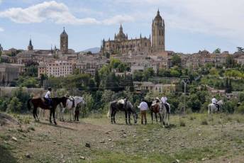 Fotogalería Fiesta Andaluza San Lorenzo 37 Fotografía: Miguel Angel Fernández