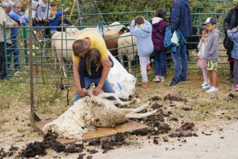 Fotogalería II Feria del Esquileo en Trescasas 3 Fotografía: Miguel Angel Fernández