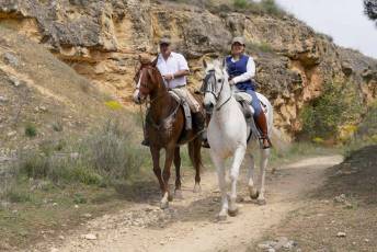 Fotogalería Fiesta Andaluza San Lorenzo 30 Fotografía: Miguel Angel Fernández