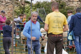 Fotogalería II Feria del Esquileo en Trescasas 32 Fotografía: Miguel Angel Fernández
