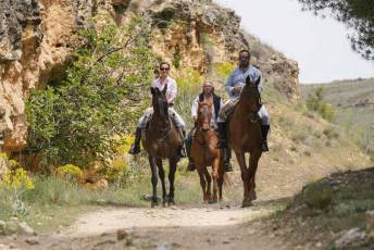 Fotogalería Fiesta Andaluza San Lorenzo 40 Fotografía: Miguel Angel Fernández