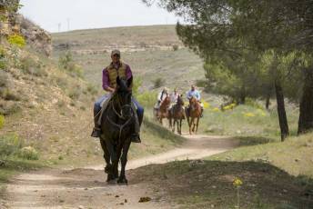 Fotogalería Fiesta Andaluza San Lorenzo 43 Fotografía: Miguel Angel Fernández