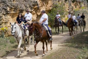 Fotogalería Fiesta Andaluza San Lorenzo 45 Fotografía: Miguel Angel Fernández
