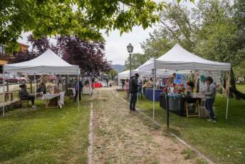 Fotogalería II Feria del Esquileo en Trescasas 25 Fotografía: Miguel Angel Fernández