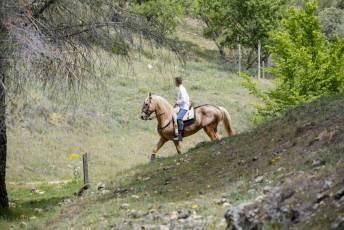 Fotogalería Fiesta Andaluza San Lorenzo 35 Fotografía: Miguel Angel Fernández