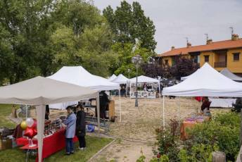 Fotogalería II Feria del Esquileo en Trescasas 18 Fotografía: Miguel Angel Fernández