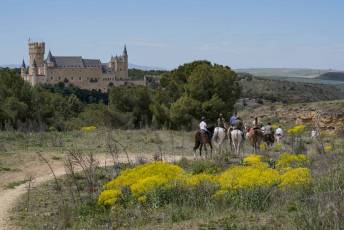 Fotogalería Fiesta Andaluza San Lorenzo 12 Fotografía: Miguel Angel Fernández
