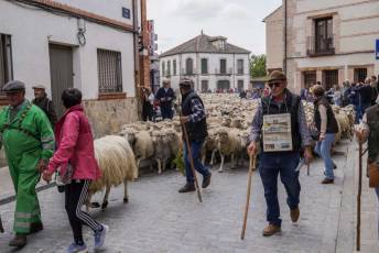Fotogalería Fiesta de la Trashumancia en Aguilafuente 13 Fotografía: Miguel Angel Fernández