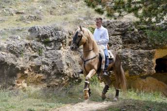 Fotogalería Fiesta Andaluza San Lorenzo 26 Fotografía: Miguel Angel Fernández