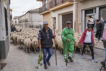 Fotogalería Fiesta de la Trashumancia en Aguilafuente 47 Fotografía: Miguel Angel Fernández