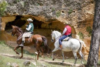 Fotogalería Fiesta Andaluza San Lorenzo 5 Fotografía: Miguel Angel Fernández