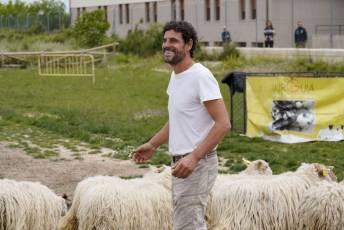 Fotogalería II Feria del Esquileo en Trescasas 19 Fotografía: Miguel Angel Fernández