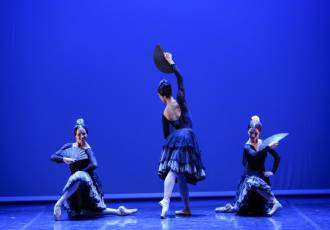 Fotogalería Ballet Nacional de Cuba en Teatro Juan Bravo 11 Fotografía: Miguel Angel Fernández