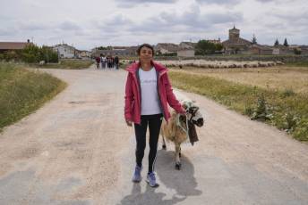 Fotogalería Fiesta de la Trashumancia en Aguilafuente 10 Fotografía: Miguel Angel Fernández