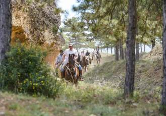 Fotogalería Fiesta Andaluza San Lorenzo 7 Fotografía: Miguel Angel Fernández