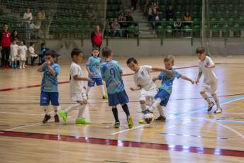 Fotogalería Jornada Debutantes Real Federación Castilla y León 44 Fotografía: Luis Horcajada