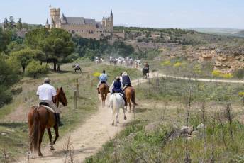Fotogalería Fiesta Andaluza San Lorenzo 41 Fotografía: Miguel Angel Fernández