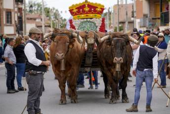 Fotogalería Mascarávila 2023 54 Fotografía: Miguel Angel Fernández