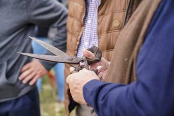 Fotogalería II Feria del Esquileo en Trescasas 9 Fotografía: Miguel Angel Fernández