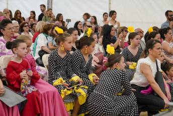 Fotogalería Fiesta Andaluza San Lorenzo 47 Fotografía: Miguel Angel Fernández