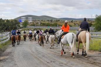 Fotogalería IV Trashumancia de Bueyes en Villacastín 9 Fotografía: Miguel Angel Fernández