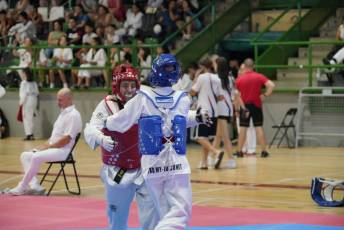Fotogalería VIII Open Taekwondo Ciudad de Segovia 28 Fotografía: Miguel Angel Fernández