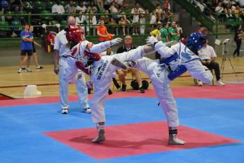 Fotogalería VIII Open Taekwondo Ciudad de Segovia 19 Fotografía: Miguel Angel Fernández