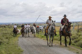 Fotogalería IV Trashumancia de Bueyes en Villacastín 23 Fotografía: Miguel Angel Fernández