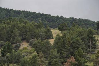 Fotogalería MTB Madrid-Segovia 8 Fotografía: Miguel Angel Fernández