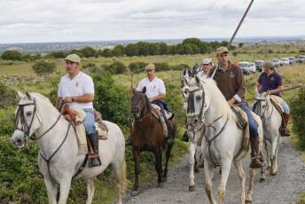 Fotogalería IV Trashumancia de Bueyes en Villacastín 39 Fotografía: Miguel Angel Fernández