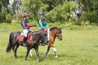 Fotogalería XXXV Campeonato de España de Equitación con Ponis 25 Fotografía: Miguel Angel Fernández