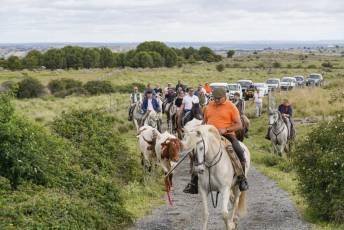 Fotogalería IV Trashumancia de Bueyes en Villacastín 27 Fotografía: Miguel Angel Fernández
