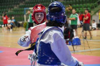 Fotogalería VIII Open Taekwondo Ciudad de Segovia 53 Fotografía: Miguel Angel Fernández