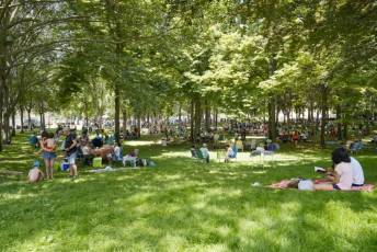 Fotogalería Paella Popular en La Fuencisla 32 Fotografía: Miguel Angel Fernández