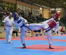 Fotogalería VIII Open Taekwondo Ciudad de Segovia 34 Fotografía: Miguel Angel Fernández