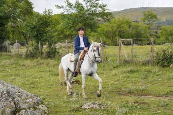 Fotogalería IV Trashumancia de Bueyes en Villacastín 24 Fotografía: Miguel Angel Fernández