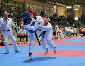 Fotogalería VIII Open Taekwondo Ciudad de Segovia 48 Fotografía: Miguel Angel Fernández