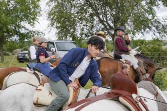 Fotogalería IV Trashumancia de Bueyes en Villacastín 29 Fotografía: Miguel Angel Fernández