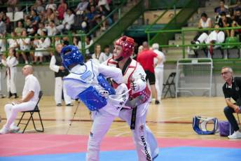 Fotogalería VIII Open Taekwondo Ciudad de Segovia 18 Fotografía: Miguel Angel Fernández